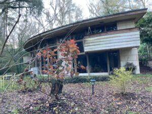 Spring House windows