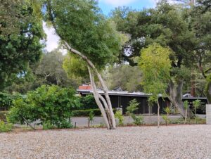 Eichler house north east elevation