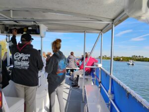 siesta key dolphin tour